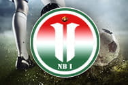Il logo della NBI ungherese