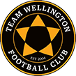 Il logo del Team Wellington